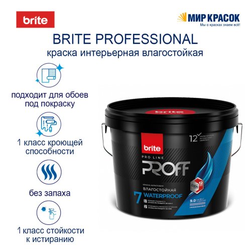 Brite Professional Ti Pure Quality / Брайт моющаяся влагостойкая краска для стен и потолков фото 2