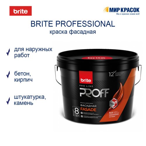Brite Professional Ti Pure Quality / Брайт профессиональная краска для минеральных фасадов фото 3