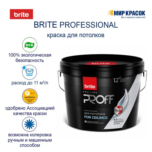 Brite Professional Ti Pure Quality / Брайт профессиональная супербелая краска для потолков фото 3