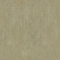 Виниловые обои Fipar Palazzo Terzi R 22631 10.05 х 1.06