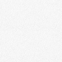 BAUTEX / БАУТЕКС холст малярный пигментированный