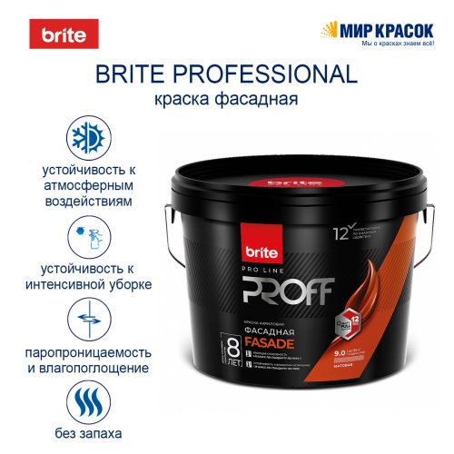 Brite Professional Ti Pure Quality / Брайт профессиональная краска для минеральных фасадов фото 2