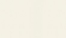 Виниловые обои BN International Tailor 2 BN 4249353 10.05 х 1.06