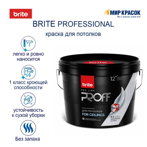 Brite Professional Ti Pure Quality / Брайт профессиональная супербелая краска для потолков фото 2