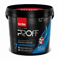 Brite Professional Ti Pure Quality / Брайт моющаяся влагостойкая краска для стен и потолков