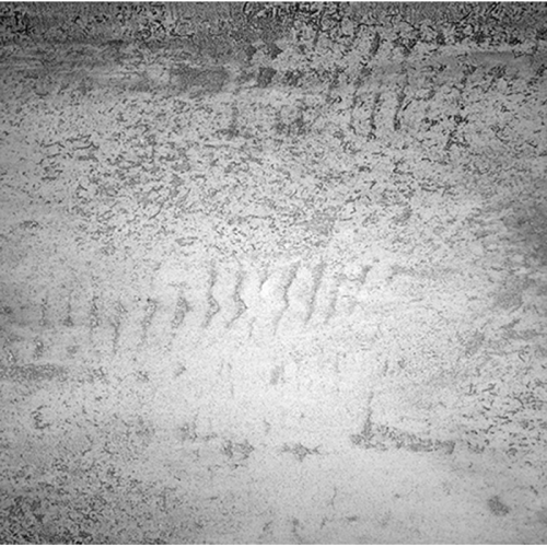 VGT GALLERY LUX / ВГТ Декоративная штукатурка Арт-Бетон фото 3